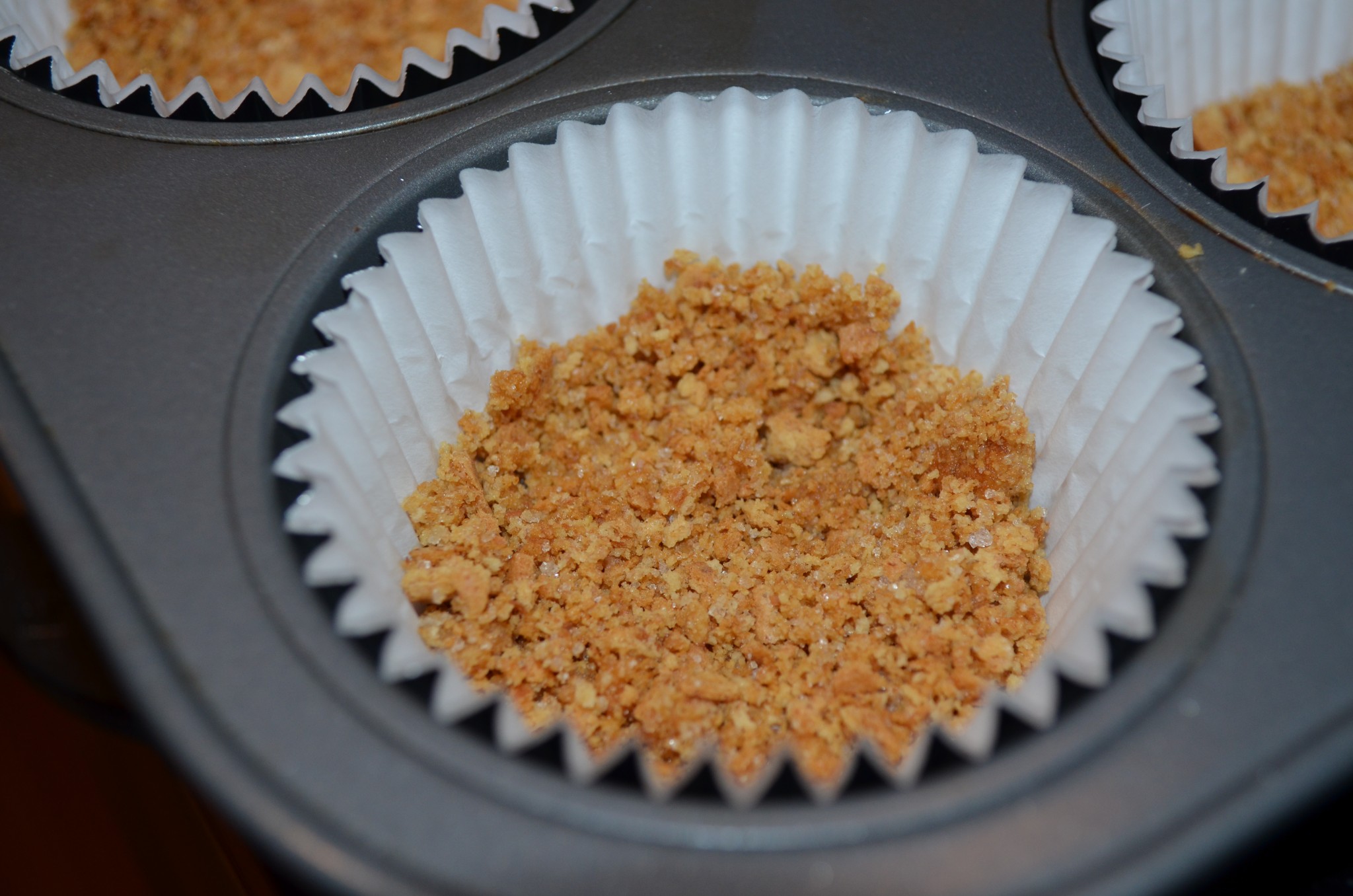 S'mores Cupcakes