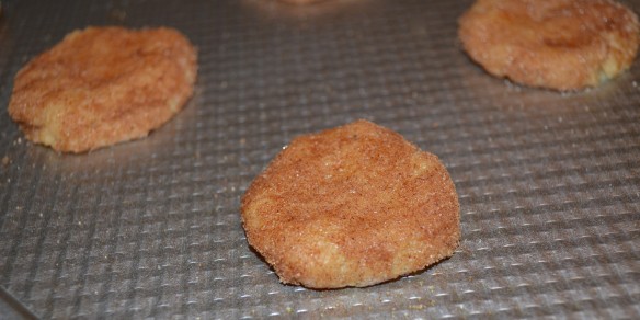 Candy Cane Snickerdoodles