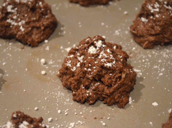 Chocolate Biscuits