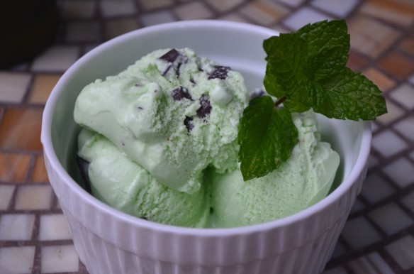 Mint Chocolate Chip Ice Cream