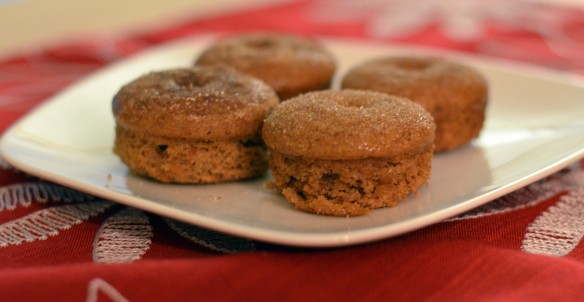 Mini Apple Cider Donuts