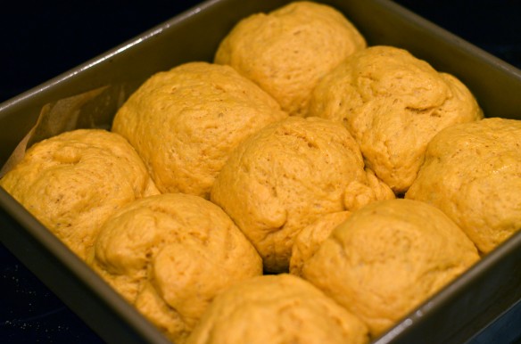 Pumpkin Dinner Rolls