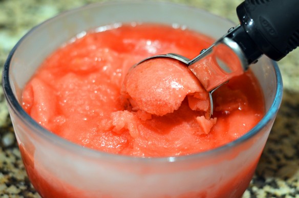 Blood Orange Sorbet