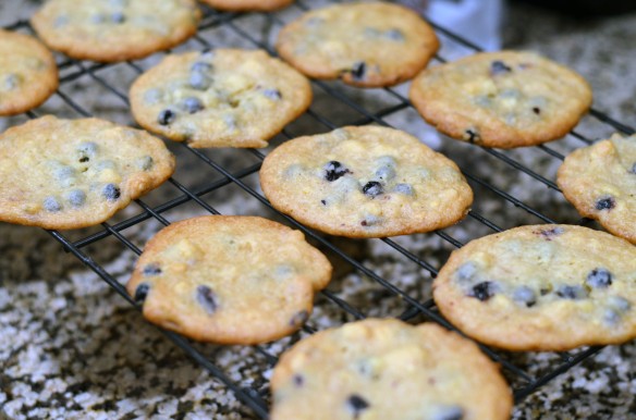 Blueberries and Cream Cookies