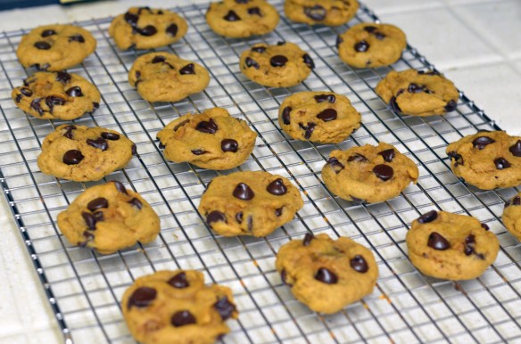 Pumpkin Chocolate Chip Cookies