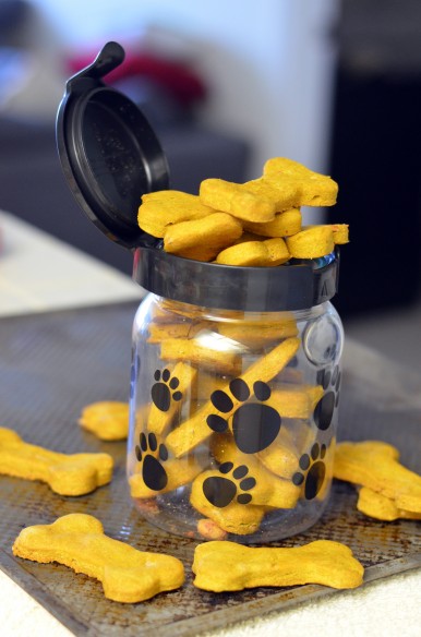 Pumpkin Peanut Butter Dog Treats