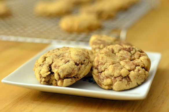 Peanut Butter Nutella Swirl Cookies